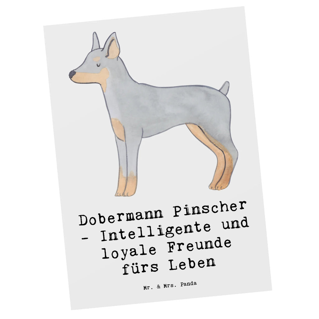 Postkarte Dobermann Pinscher Freund Postkarte, Karte, Geschenkkarte, Grußkarte, Einladung, Ansichtskarte, Geburtstagskarte, Einladungskarte, Dankeskarte, Ansichtskarten, Einladung Geburtstag, Einladungskarten Geburtstag, Hund, Hunderasse, Rassehund, Hundebesitzer, Geschenk, Tierfreund, Schenken, Welpe