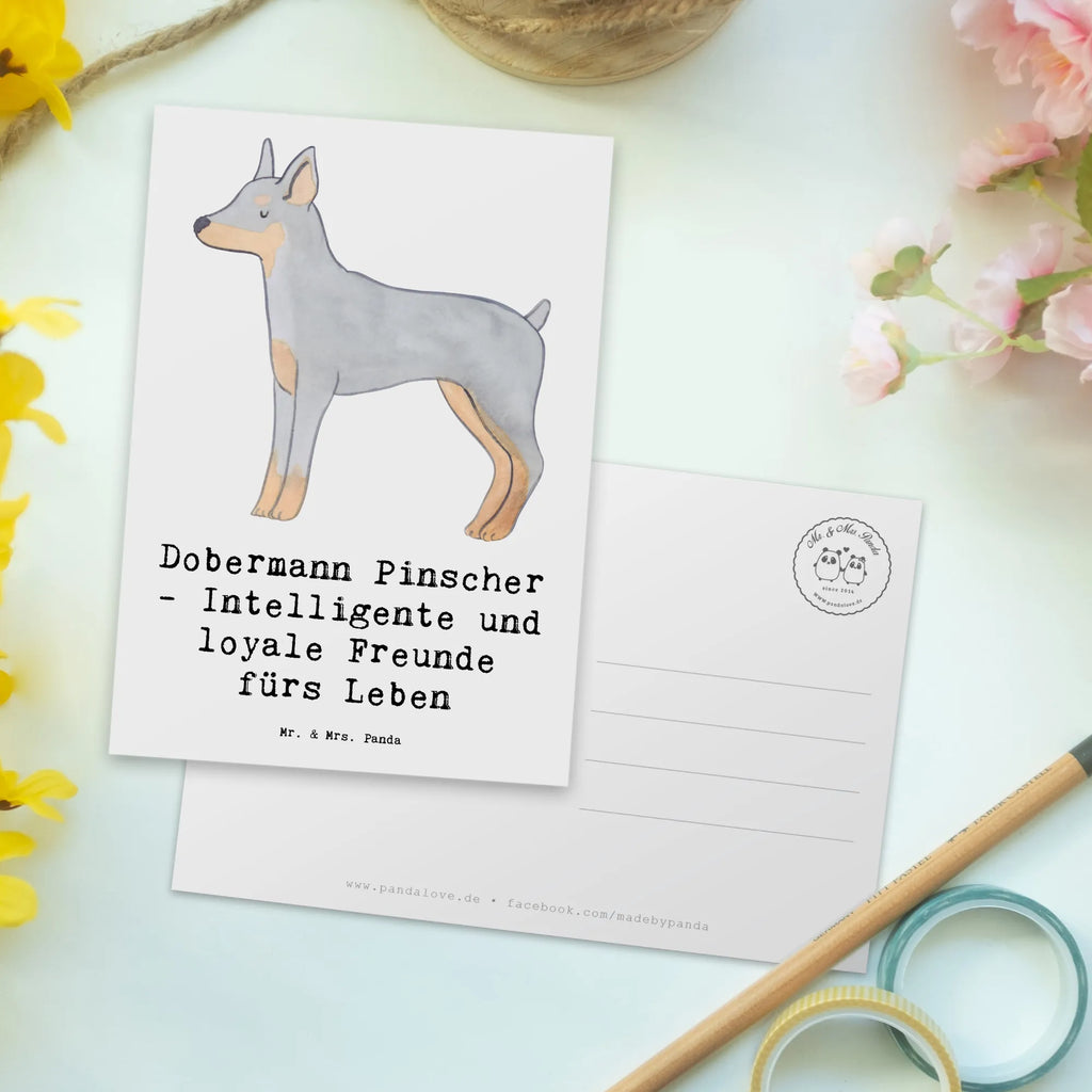 Postkarte Dobermann Pinscher Freund Postkarte, Karte, Geschenkkarte, Grußkarte, Einladung, Ansichtskarte, Geburtstagskarte, Einladungskarte, Dankeskarte, Ansichtskarten, Einladung Geburtstag, Einladungskarten Geburtstag, Hund, Hunderasse, Rassehund, Hundebesitzer, Geschenk, Tierfreund, Schenken, Welpe