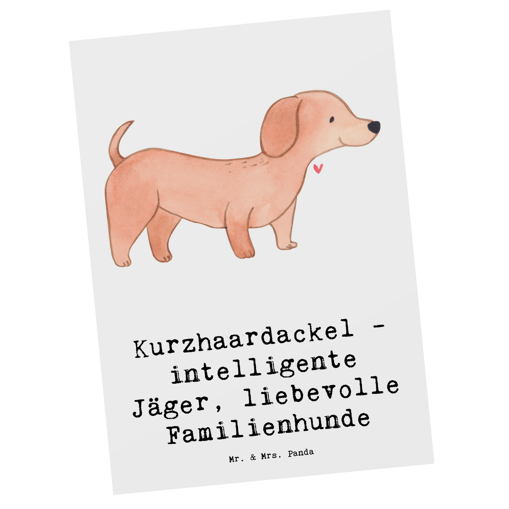 Postkarte Kurzhaardackel Liebe Postkarte, Karte, Geschenkkarte, Grußkarte, Einladung, Ansichtskarte, Geburtstagskarte, Einladungskarte, Dankeskarte, Ansichtskarten, Einladung Geburtstag, Einladungskarten Geburtstag, Hund, Hunderasse, Rassehund, Hundebesitzer, Geschenk, Tierfreund, Schenken, Welpe