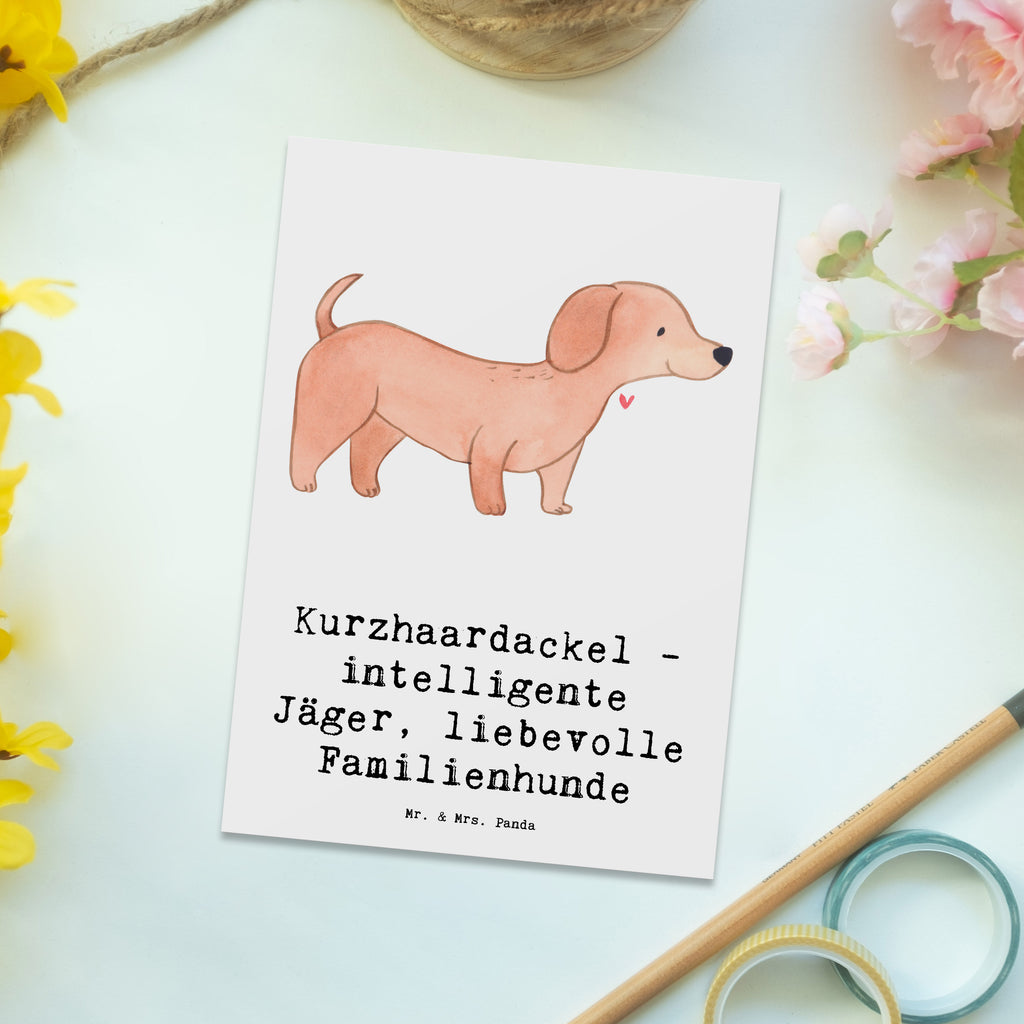 Postkarte Kurzhaardackel Liebe Postkarte, Karte, Geschenkkarte, Grußkarte, Einladung, Ansichtskarte, Geburtstagskarte, Einladungskarte, Dankeskarte, Ansichtskarten, Einladung Geburtstag, Einladungskarten Geburtstag, Hund, Hunderasse, Rassehund, Hundebesitzer, Geschenk, Tierfreund, Schenken, Welpe