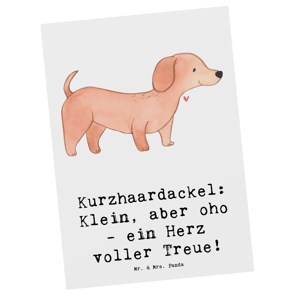 Postkarte Kurzhaardackel Herz Postkarte, Karte, Geschenkkarte, Grußkarte, Einladung, Ansichtskarte, Geburtstagskarte, Einladungskarte, Dankeskarte, Ansichtskarten, Einladung Geburtstag, Einladungskarten Geburtstag, Hund, Hunderasse, Rassehund, Hundebesitzer, Geschenk, Tierfreund, Schenken, Welpe