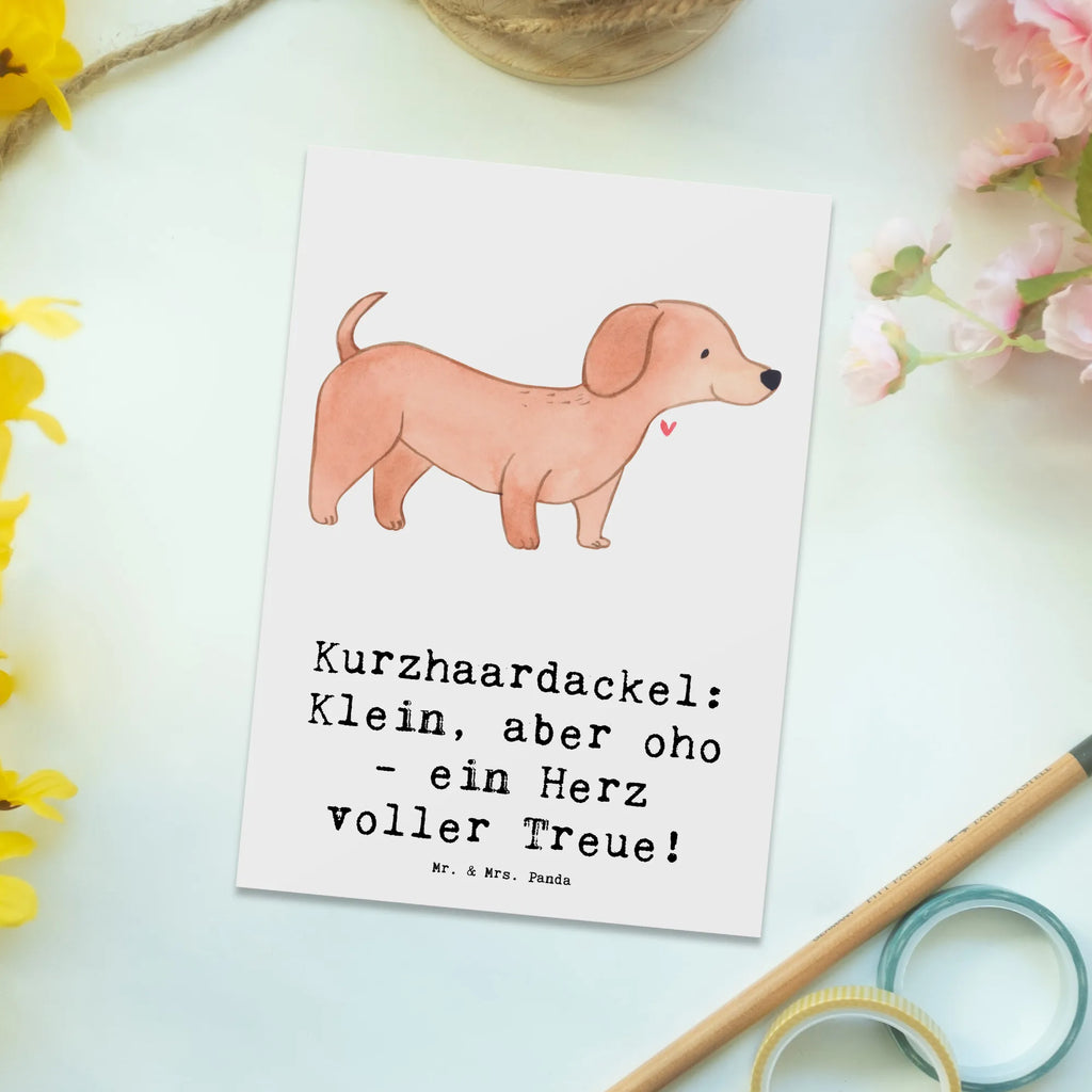 Postkarte Kurzhaardackel Herz Postkarte, Karte, Geschenkkarte, Grußkarte, Einladung, Ansichtskarte, Geburtstagskarte, Einladungskarte, Dankeskarte, Ansichtskarten, Einladung Geburtstag, Einladungskarten Geburtstag, Hund, Hunderasse, Rassehund, Hundebesitzer, Geschenk, Tierfreund, Schenken, Welpe