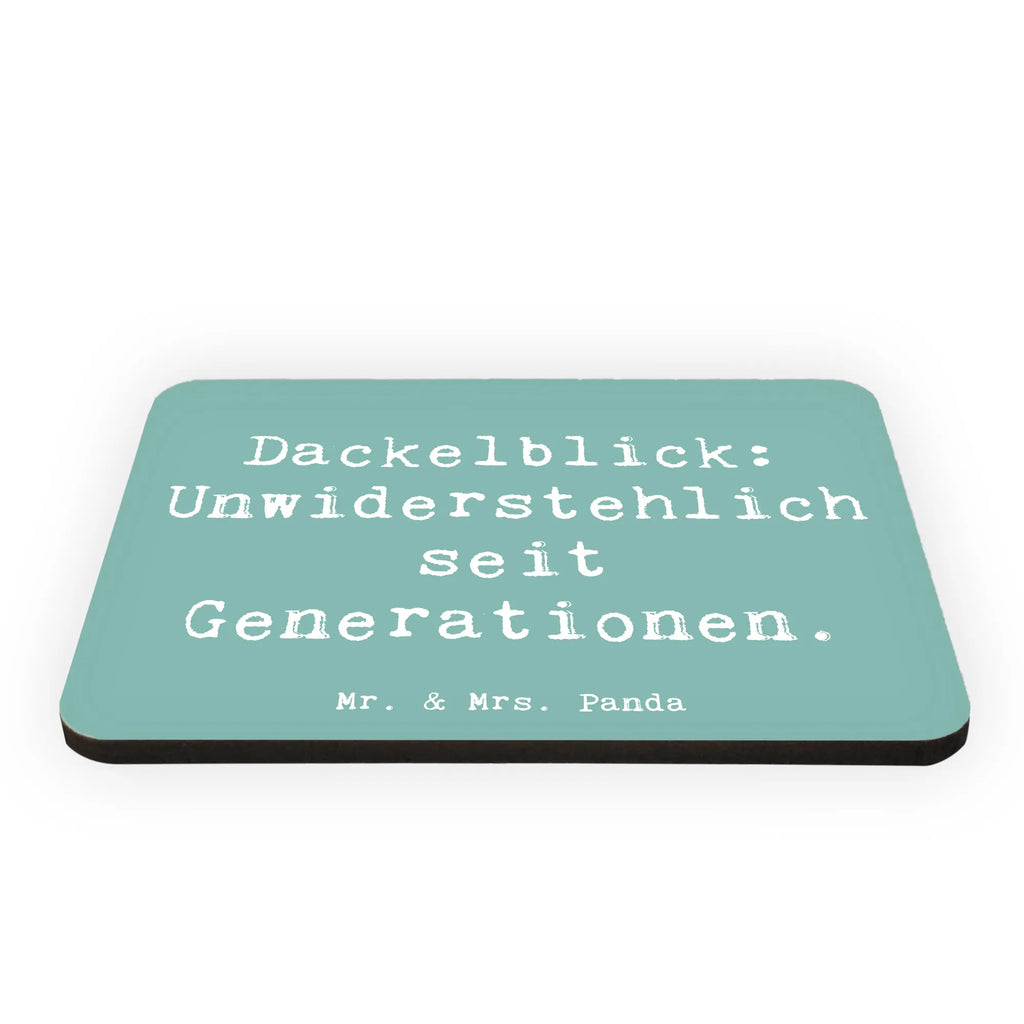 Magnet Spruch Kurzhaardackel Dackelblick Kühlschrankmagnet, Pinnwandmagnet, Souvenir Magnet, Motivmagnete, Dekomagnet, Whiteboard Magnet, Notiz Magnet, Kühlschrank Dekoration, Hund, Hunderasse, Rassehund, Hundebesitzer, Geschenk, Tierfreund, Schenken, Welpe