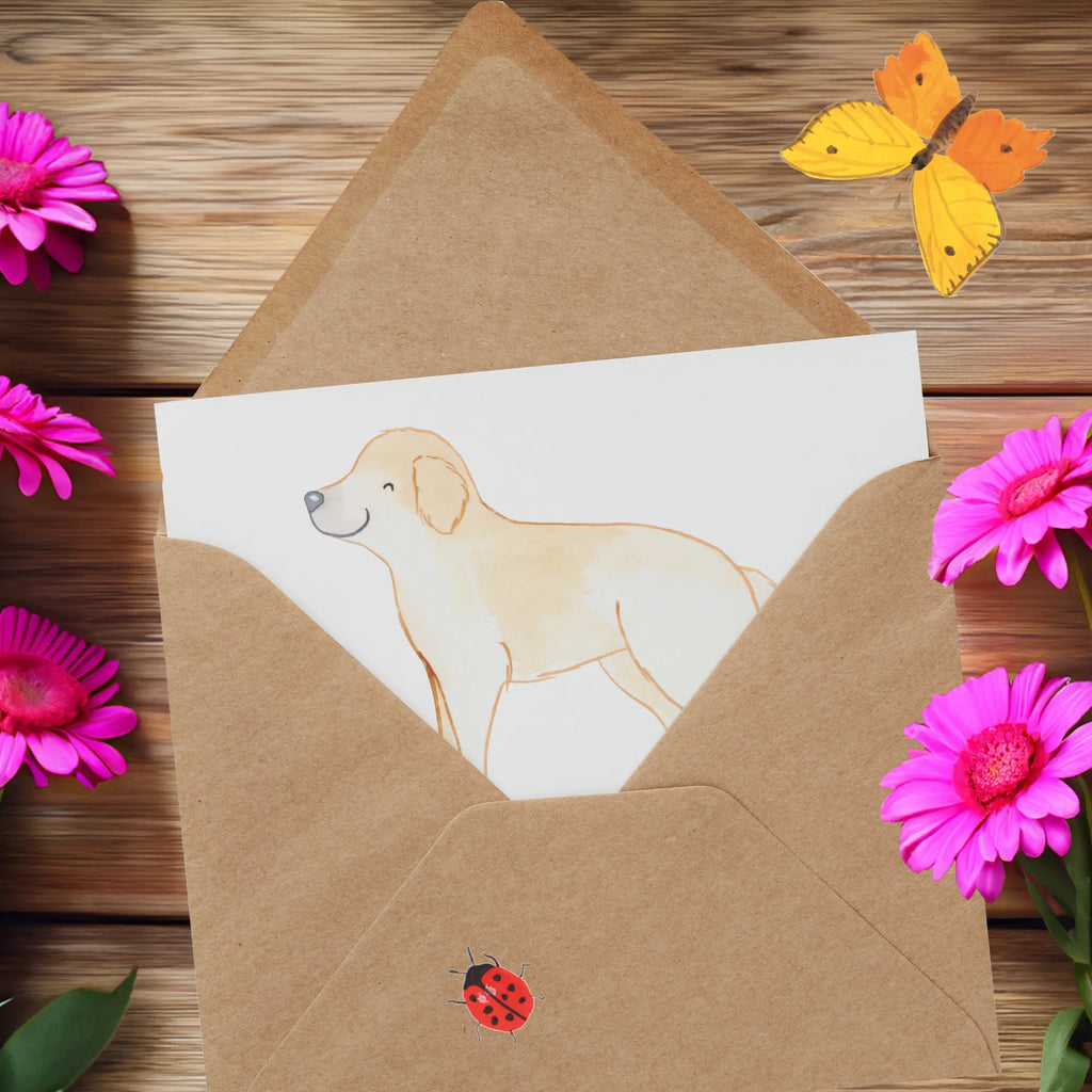 Deluxe Karte Golden Retriever Abenteuer Karte, Grußkarte, Klappkarte, Einladungskarte, Glückwunschkarte, Hochzeitskarte, Geburtstagskarte, Hochwertige Grußkarte, Hochwertige Klappkarte, Hund, Hunderasse, Rassehund, Hundebesitzer, Geschenk, Tierfreund, Schenken, Welpe