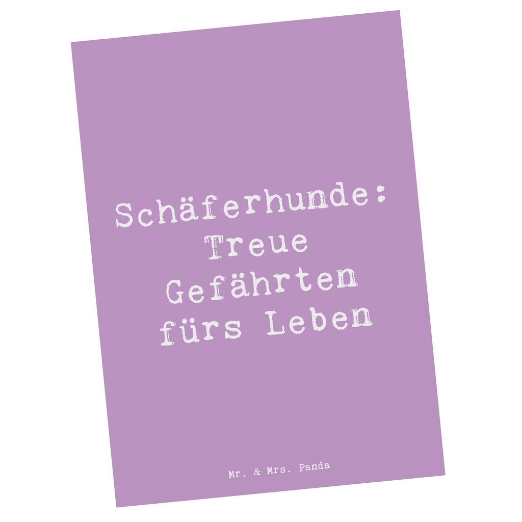 Postkarte Spruch Schäferhund Gefährten Postkarte, Karte, Geschenkkarte, Grußkarte, Einladung, Ansichtskarte, Geburtstagskarte, Einladungskarte, Dankeskarte, Ansichtskarten, Einladung Geburtstag, Einladungskarten Geburtstag, Hund, Hunderasse, Rassehund, Hundebesitzer, Geschenk, Tierfreund, Schenken, Welpe