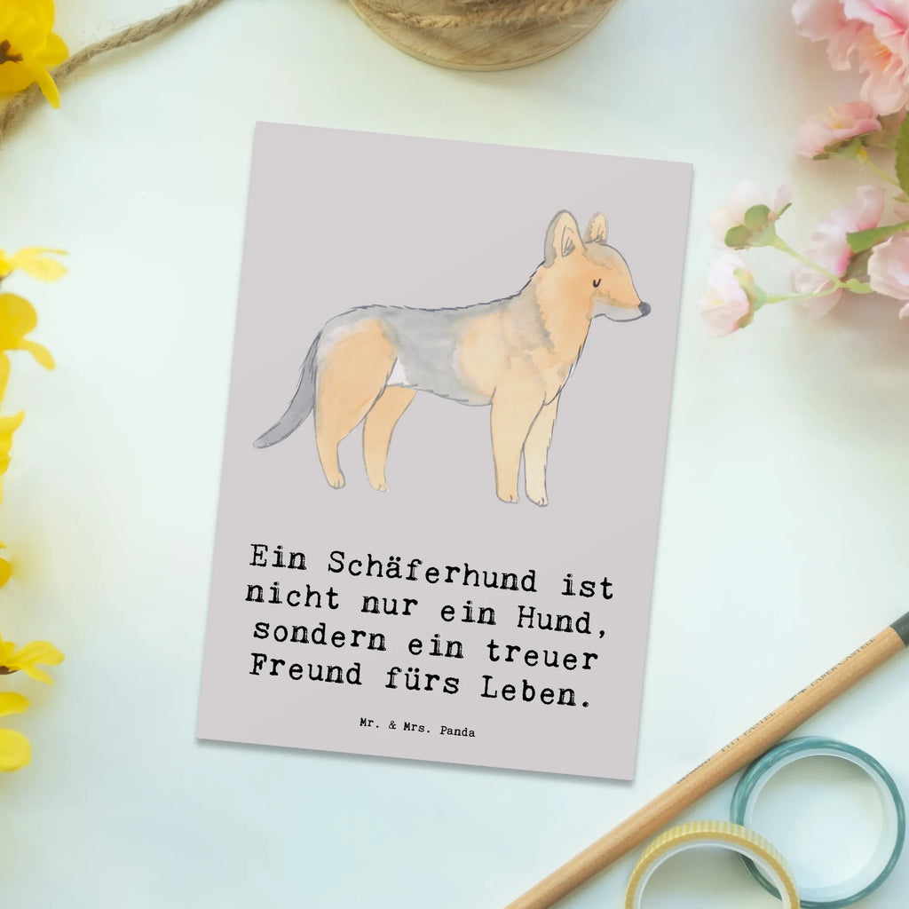 Postkarte Schäferhund Freund Postkarte, Karte, Geschenkkarte, Grußkarte, Einladung, Ansichtskarte, Geburtstagskarte, Einladungskarte, Dankeskarte, Ansichtskarten, Einladung Geburtstag, Einladungskarten Geburtstag, Hund, Hunderasse, Rassehund, Hundebesitzer, Geschenk, Tierfreund, Schenken, Welpe