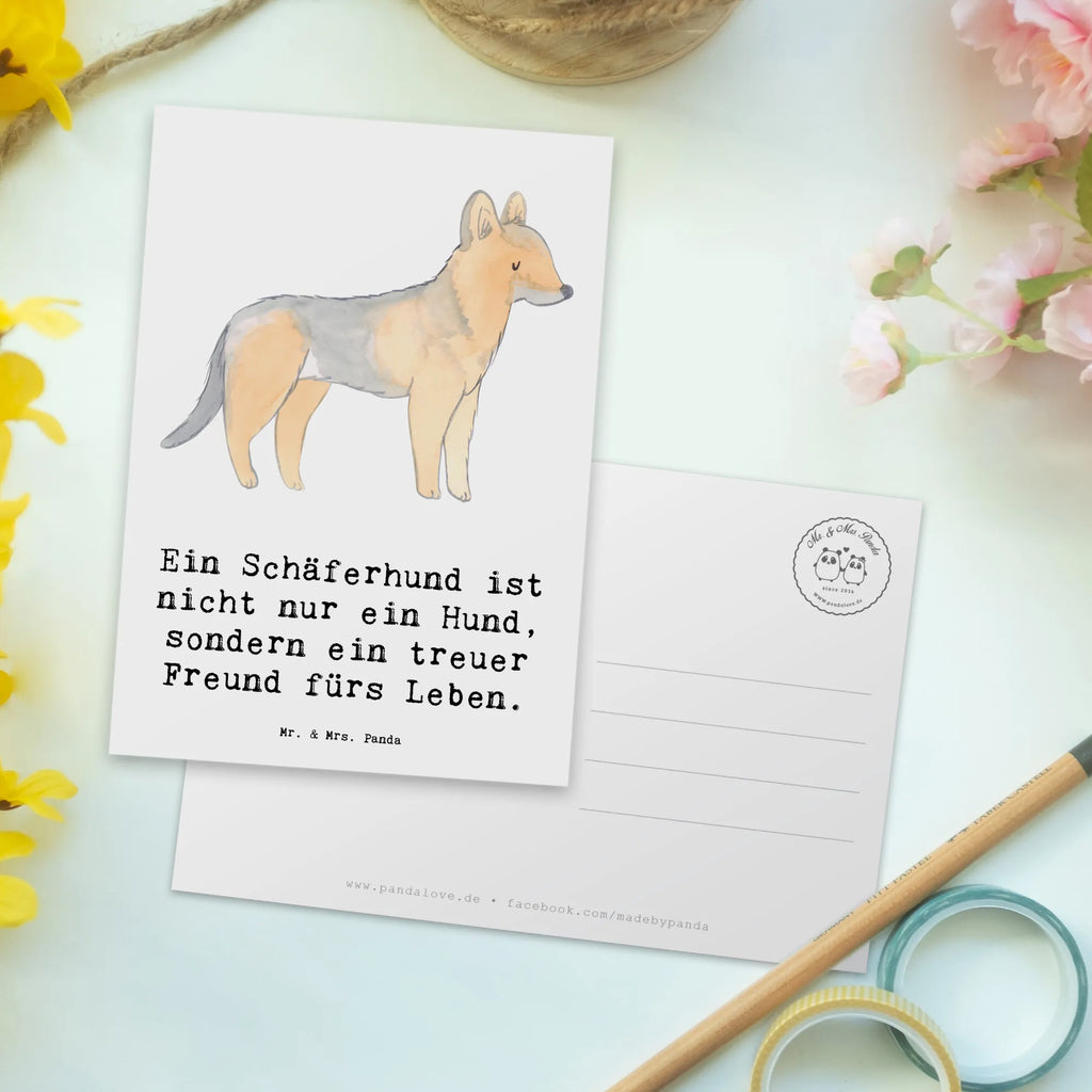 Postkarte Schäferhund Freund Postkarte, Karte, Geschenkkarte, Grußkarte, Einladung, Ansichtskarte, Geburtstagskarte, Einladungskarte, Dankeskarte, Ansichtskarten, Einladung Geburtstag, Einladungskarten Geburtstag, Hund, Hunderasse, Rassehund, Hundebesitzer, Geschenk, Tierfreund, Schenken, Welpe