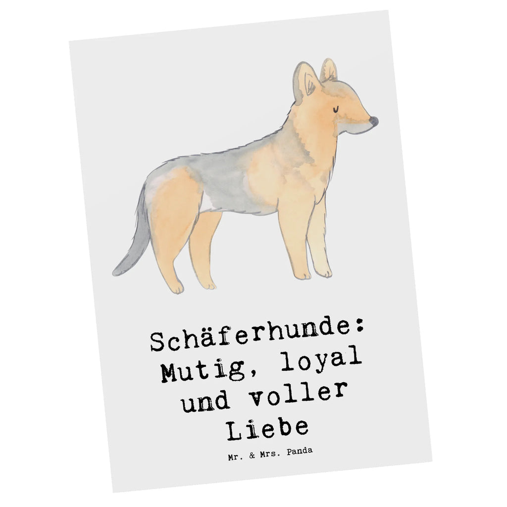 Postkarte Schäferhunde Freundschaft Postkarte, Karte, Geschenkkarte, Grußkarte, Einladung, Ansichtskarte, Geburtstagskarte, Einladungskarte, Dankeskarte, Ansichtskarten, Einladung Geburtstag, Einladungskarten Geburtstag, Hund, Hunderasse, Rassehund, Hundebesitzer, Geschenk, Tierfreund, Schenken, Welpe