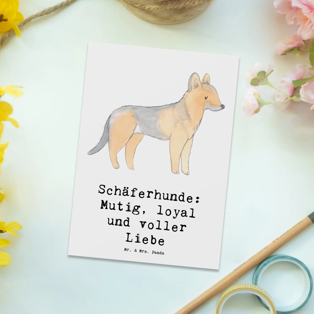 Postkarte Schäferhunde Freundschaft Postkarte, Karte, Geschenkkarte, Grußkarte, Einladung, Ansichtskarte, Geburtstagskarte, Einladungskarte, Dankeskarte, Ansichtskarten, Einladung Geburtstag, Einladungskarten Geburtstag, Hund, Hunderasse, Rassehund, Hundebesitzer, Geschenk, Tierfreund, Schenken, Welpe