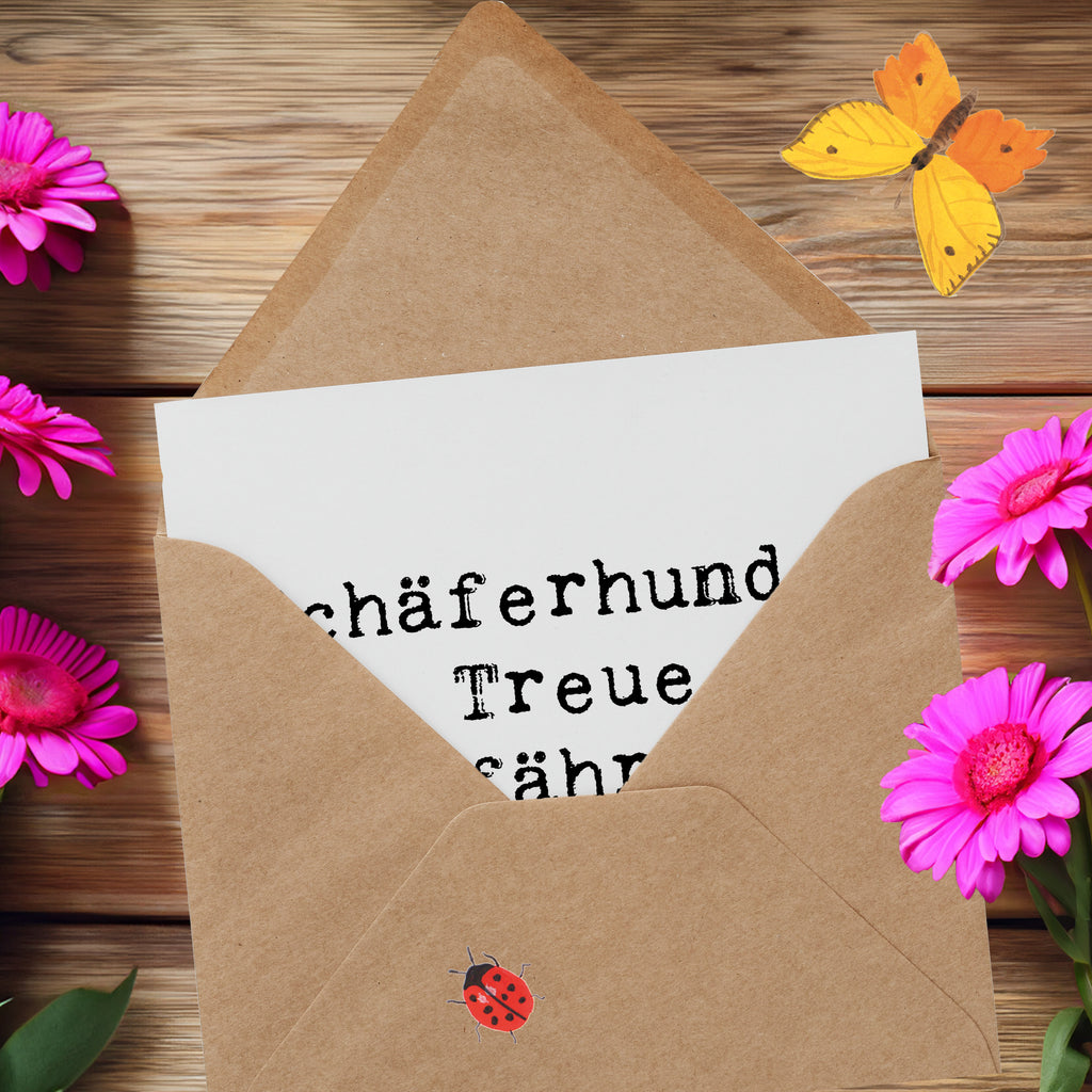 Deluxe Karte Spruch Schäferhund Gefährten Karte, Grußkarte, Klappkarte, Einladungskarte, Glückwunschkarte, Hochzeitskarte, Geburtstagskarte, Hochwertige Grußkarte, Hochwertige Klappkarte, Hund, Hunderasse, Rassehund, Hundebesitzer, Geschenk, Tierfreund, Schenken, Welpe