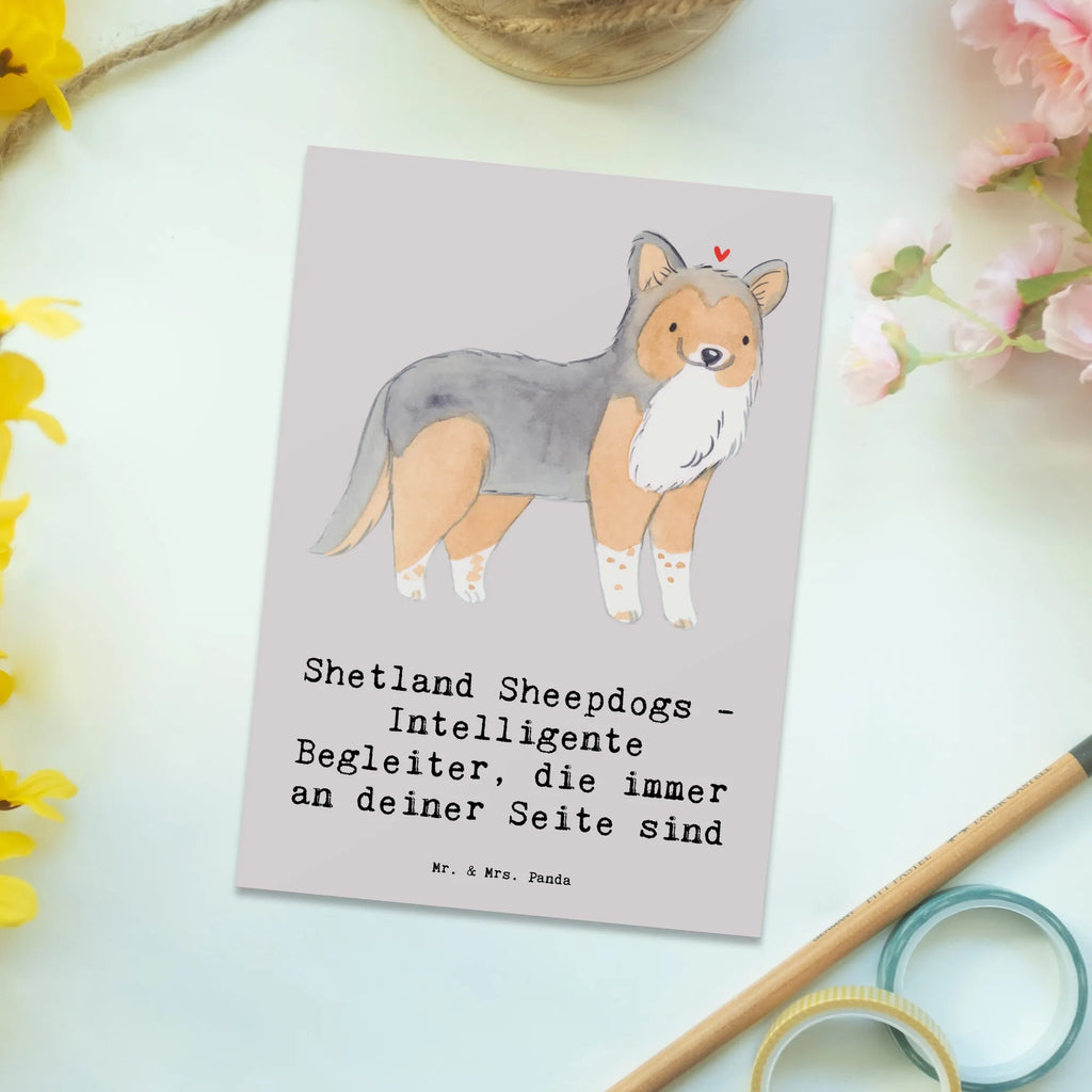 Postkarte Shetland Sheepdog Freund Postkarte, Karte, Geschenkkarte, Grußkarte, Einladung, Ansichtskarte, Geburtstagskarte, Einladungskarte, Dankeskarte, Ansichtskarten, Einladung Geburtstag, Einladungskarten Geburtstag, Hund, Hunderasse, Rassehund, Hundebesitzer, Geschenk, Tierfreund, Schenken, Welpe