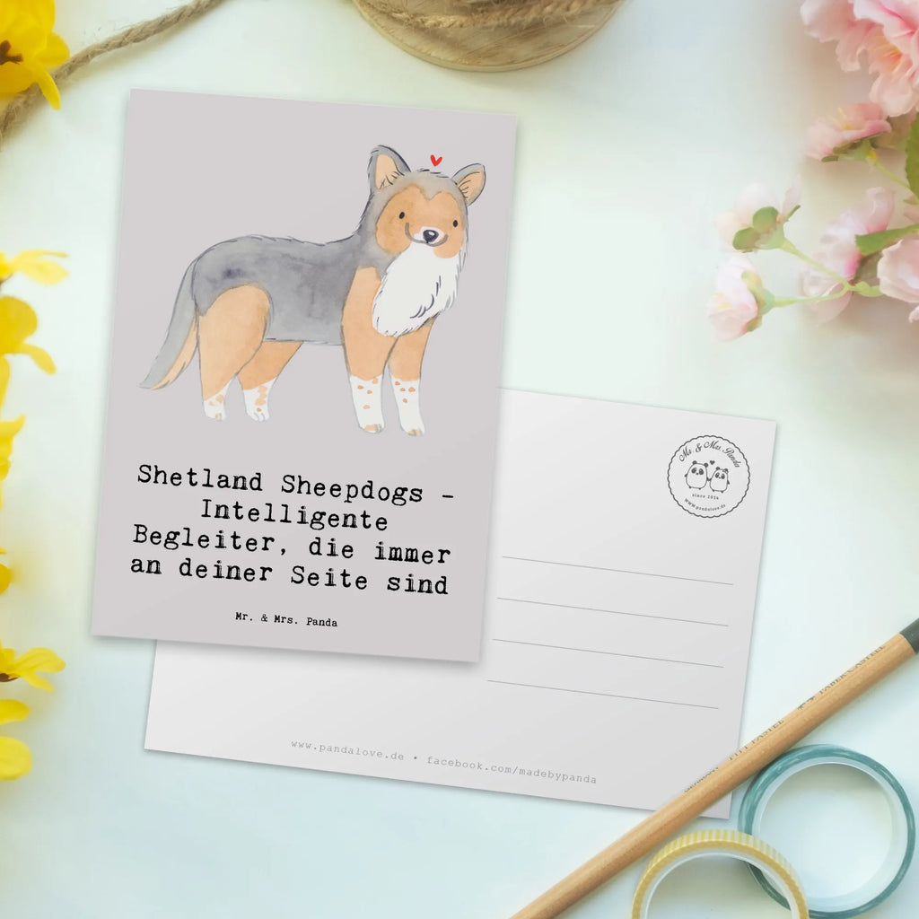 Postkarte Shetland Sheepdog Freund Postkarte, Karte, Geschenkkarte, Grußkarte, Einladung, Ansichtskarte, Geburtstagskarte, Einladungskarte, Dankeskarte, Ansichtskarten, Einladung Geburtstag, Einladungskarten Geburtstag, Hund, Hunderasse, Rassehund, Hundebesitzer, Geschenk, Tierfreund, Schenken, Welpe