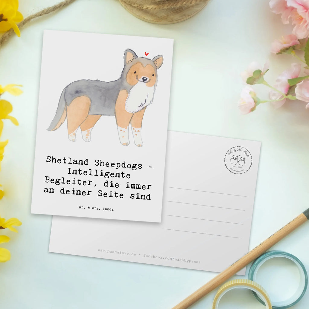 Postkarte Shetland Sheepdog Freund Postkarte, Karte, Geschenkkarte, Grußkarte, Einladung, Ansichtskarte, Geburtstagskarte, Einladungskarte, Dankeskarte, Ansichtskarten, Einladung Geburtstag, Einladungskarten Geburtstag, Hund, Hunderasse, Rassehund, Hundebesitzer, Geschenk, Tierfreund, Schenken, Welpe