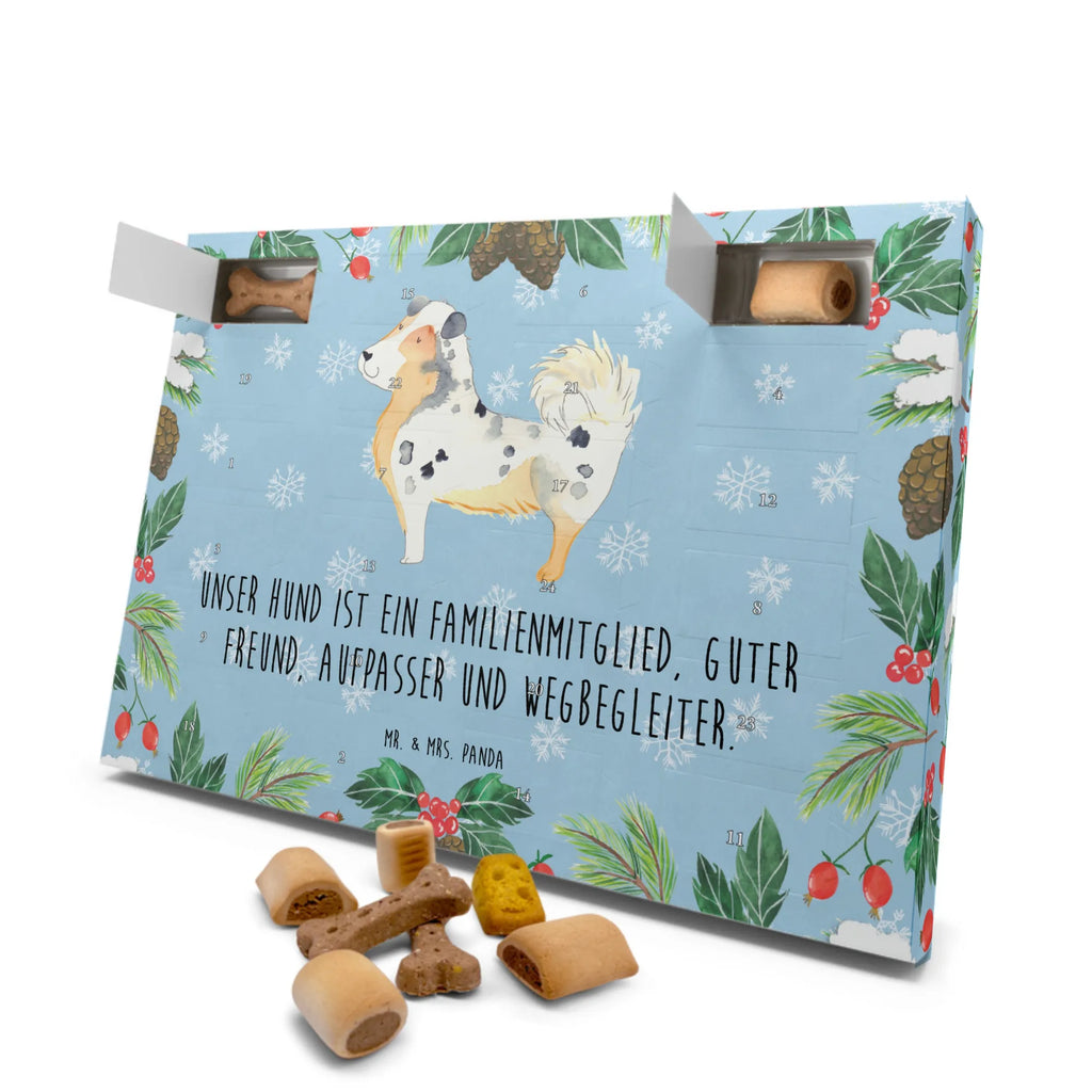 Hunde Adventskalender Hund Australien Shepherd Hunde Adventskalender, Weihnachtskalender, Kalender, Weihnachten, Adventskalender für Hunde, Hund, Hundemotiv, Haustier, Hunderasse, Tierliebhaber, Hundebesitzer, Sprüche, Australien Shepherd, Shepherd, Hundeliebe, Familienhund, Spruch