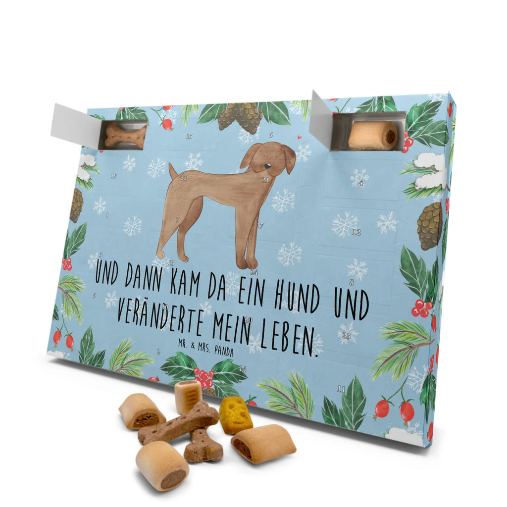 Hunde Adventskalender Hund Dogge Hunde Adventskalender, Weihnachtskalender, Kalender, Weihnachten, Adventskalender für Hunde, Hund, Hundemotiv, Haustier, Hunderasse, Tierliebhaber, Hundebesitzer, Sprüche, Hunde, Dogge, Deutsche Dogge, Great Dane