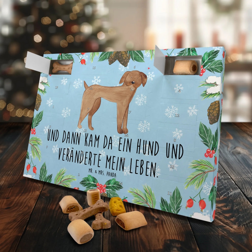 Hunde Adventskalender Hund Dogge Hunde Adventskalender, Weihnachtskalender, Kalender, Weihnachten, Adventskalender für Hunde, Hund, Hundemotiv, Haustier, Hunderasse, Tierliebhaber, Hundebesitzer, Sprüche, Hunde, Dogge, Deutsche Dogge, Great Dane