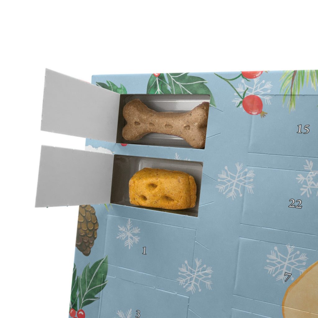 Personalisierter Hunde Adventskalender Corgie Hunde Adventskalender, Hund, Hundemotiv, Haustier, Hunderasse, Tierliebhaber, Hundebesitzer, Sprüche, Corgie, Welsh Corgie Pembroke, britisch, Motivation, Spruch, Hundespruch, Lebensfreude