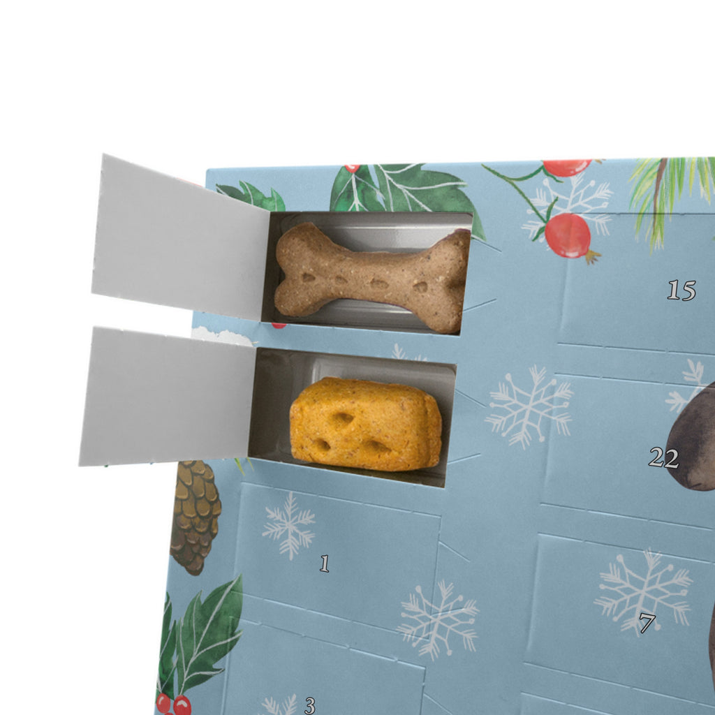 Personalisierter Hunde Adventskalender Hund Entspannen Hunde Adventskalender, Hund, Hundemotiv, Haustier, Hunderasse, Tierliebhaber, Hundebesitzer, Sprüche, schwarzer Hund, Hundeliebe, Liebe, Hundeglück