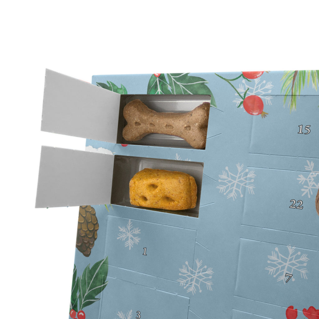 Personalisierter Hunde Adventskalender Hund Dame Hunde Adventskalender, Hund, Hundemotiv, Haustier, Hunderasse, Tierliebhaber, Hundebesitzer, Sprüche, Hunde, Hundeliebe, Hundeglück, Liebe, Frauchen