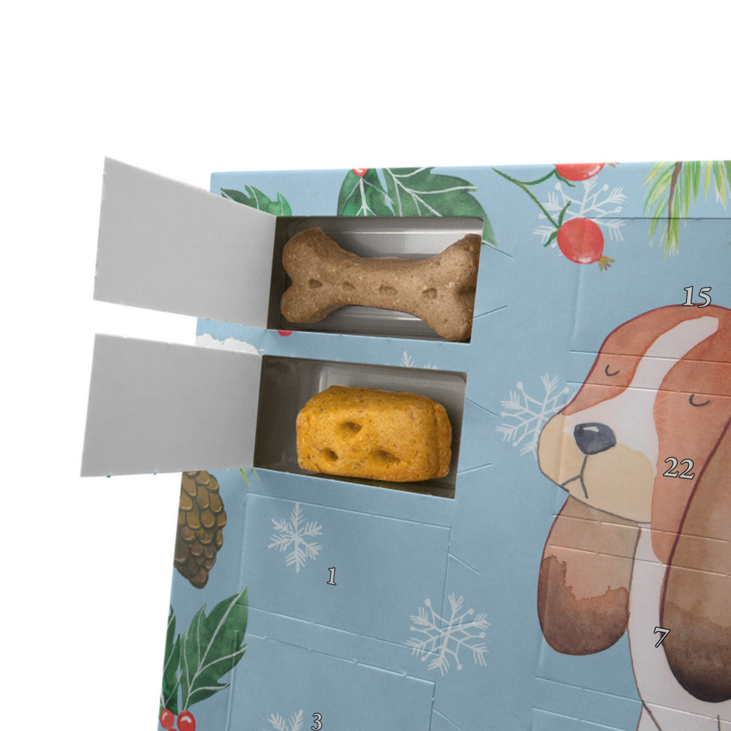 Personalisierter Hunde Adventskalender Hund Basset Hound Hunde Adventskalender, Hund, Hundemotiv, Haustier, Hunderasse, Tierliebhaber, Hundebesitzer, Sprüche, Basset Hound, Basset, Hundeliebe, kinderlos