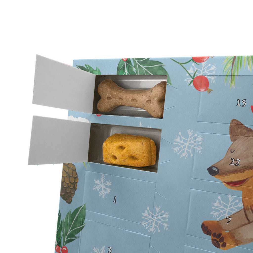 Personalisierter Hunde Adventskalender Hund Dackel Hunde Adventskalender, Hund, Hundemotiv, Haustier, Hunderasse, Tierliebhaber, Hundebesitzer, Sprüche, Hunde, Dackel, Dachshund, happy dog