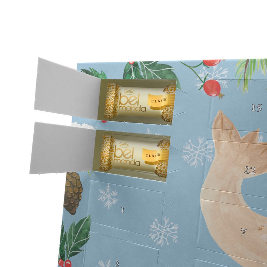 Personalisierter Marzipan Adventskalender Robbe Liegen Personalisierter Marzipan Adventskalender, Tiermotive, Gute Laune, lustige Sprüche, Tiere, Robbe, Robben, Seehund, Strand, Meerestier, Ostsee, Nordsee, Lachen, Freude