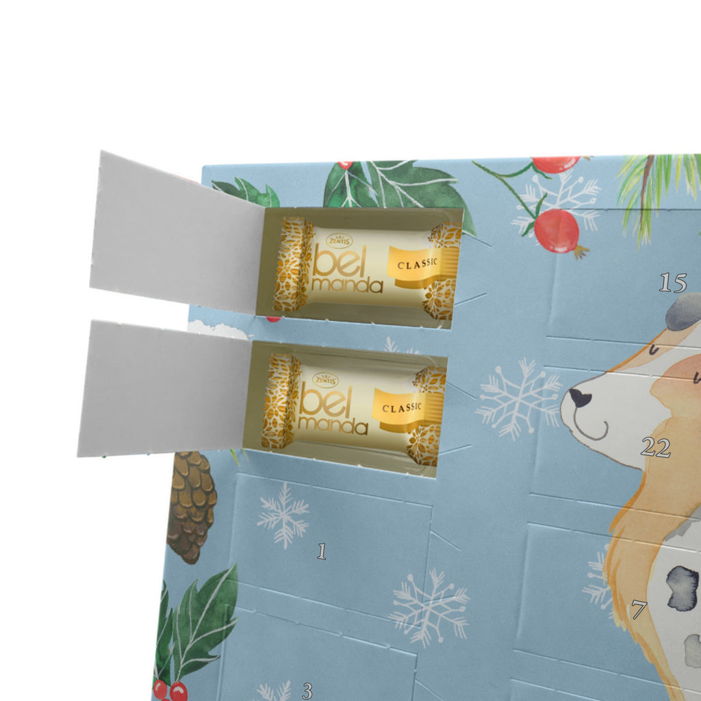 Personalisierter Marzipan Adventskalender Hund Australien Shepherd Personalisierter Marzipan Adventskalender, Hund, Hundemotiv, Haustier, Hunderasse, Tierliebhaber, Hundebesitzer, Sprüche, Australien Shepherd, Shepherd, Hundeliebe, Familienhund, Spruch