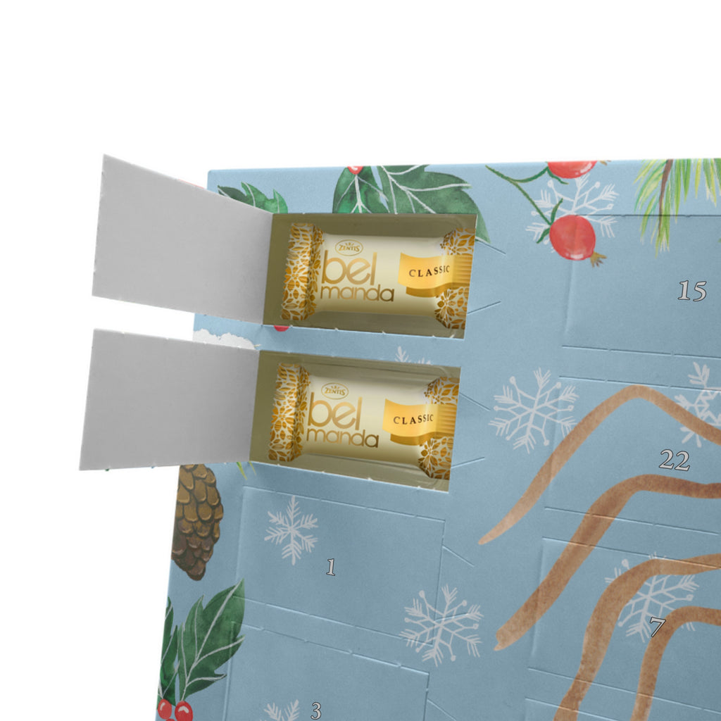 Personalisierter Marzipan Adventskalender Spinne Agathe Freude Personalisierter Marzipan Adventskalender, Spinne Agathe, Spinne, Agathe, Videos, Merchandise, Viral, Viraler Hit, Trend, Beliebte Spinne