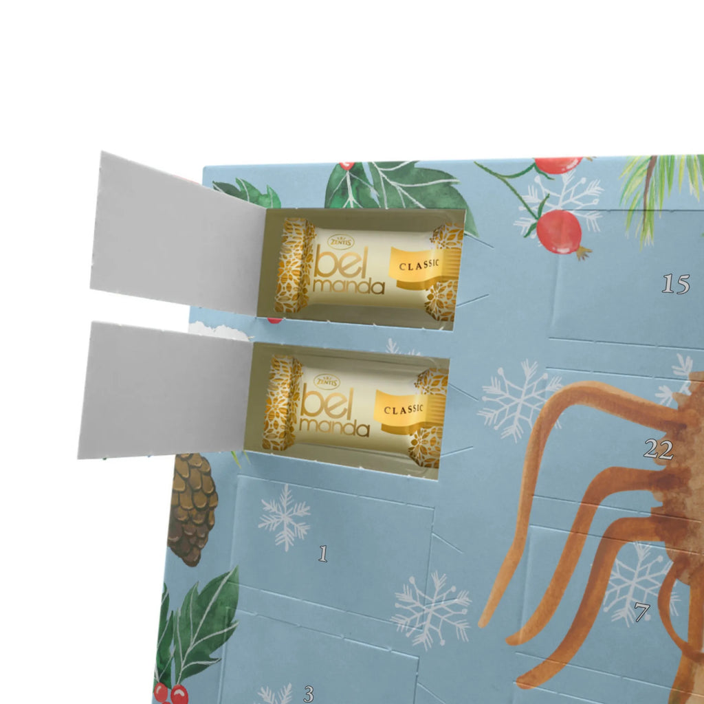 Personalisierter Marzipan Adventskalender Spinne Agathe Sandwich Personalisierter Marzipan Adventskalender, Spinne Agathe, Spinne, Agathe, Videos, Merchandise, Glück, Mut, Hungrig, Verfressen, Lebensfreude, Alles wird gut, Hunger