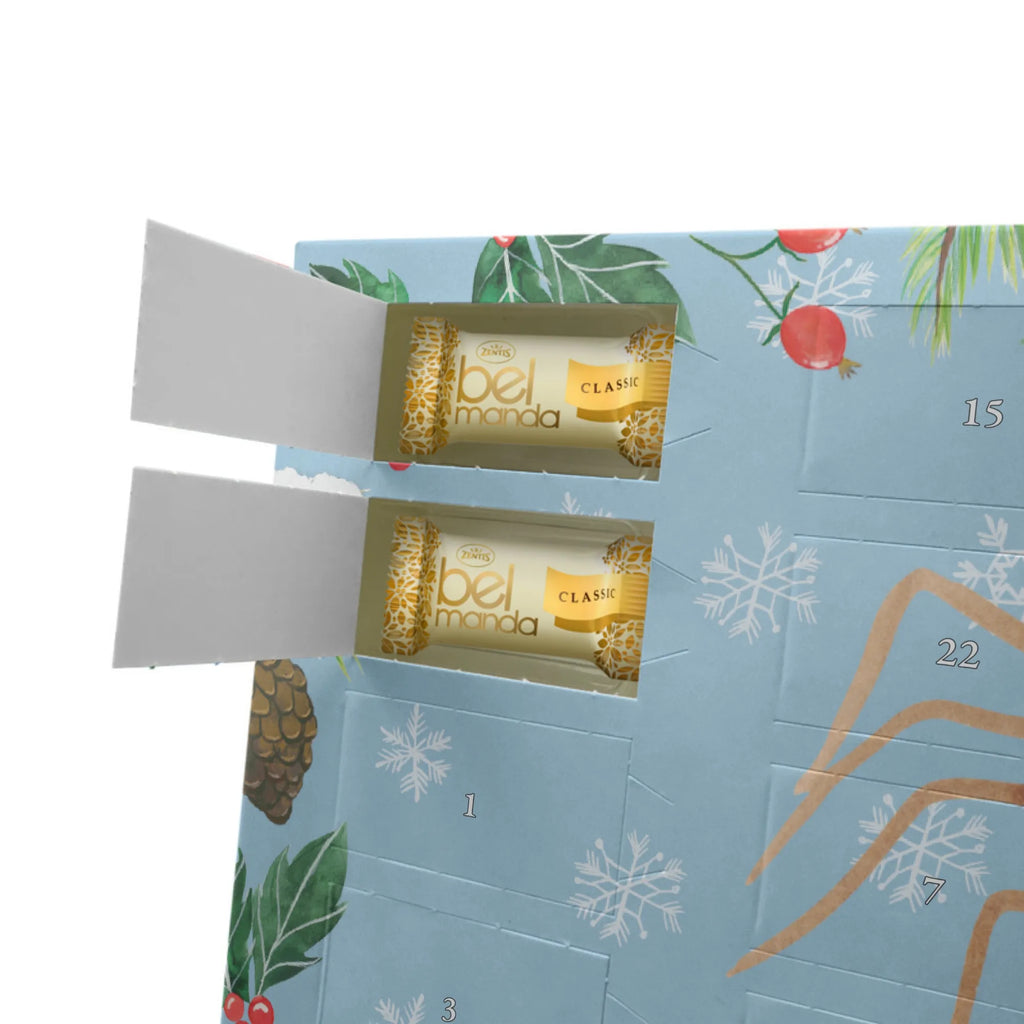 Personalisierter Marzipan Adventskalender Spinne Agathe Party Personalisierter Marzipan Adventskalender, Spinne Agathe, Spinne, Agathe, Videos, Merchandise, Selbstliebe, Wunder, Motivation, Glück