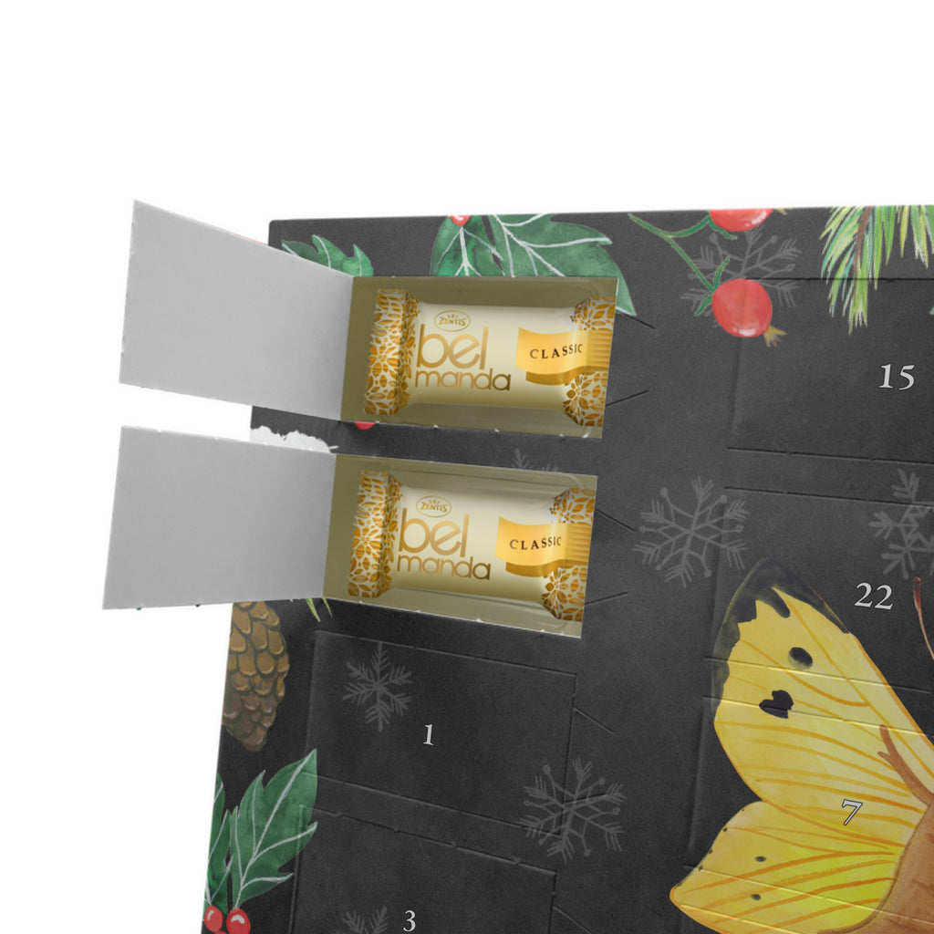 Personalisierter Marzipan Adventskalender Raupe Schmetterling Personalisierter Marzipan Adventskalender, Tiermotive, Gute Laune, lustige Sprüche, Tiere, Raupe, Schmetterling, Zitronenfalter, Entwicklung, Erwachsen werden, Kokon, Hut, Hütchen, Schönheit, Aufwachsen