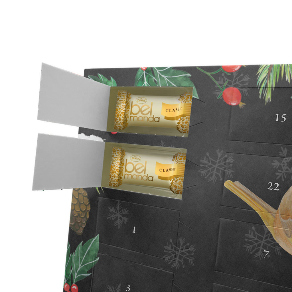 Personalisierter Marzipan Adventskalender Rotkehlchen Federn Personalisierter Marzipan Adventskalender, Tiermotive, Gute Laune, lustige Sprüche, Tiere, What if i fall, Rotkehlchen, Spruch Motivation, Spruch Mut, Vogel, Motivation Sprüche, Motivationsbilder, fliegen