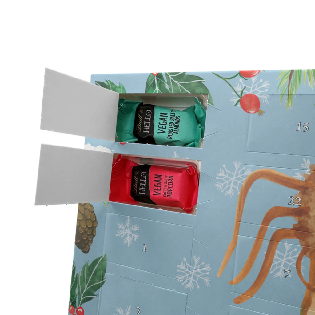 Veganer Adventskalender Spinne Agathe Sandwich Schokoladen Adventskalender, Spinne Agathe, Spinne, Agathe, Videos, Merchandise, Glück, Mut, Hungrig, Verfressen, Lebensfreude, Alles wird gut, Hunger