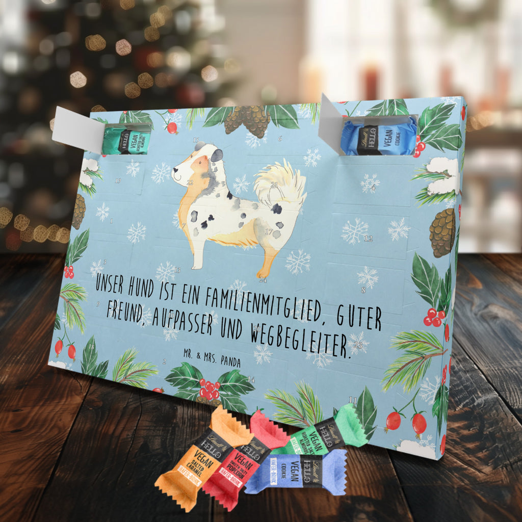 Veganer Adventskalender Hund Australien Shepherd Schokoladen Adventskalender, Hund, Hundemotiv, Haustier, Hunderasse, Tierliebhaber, Hundebesitzer, Sprüche, Australien Shepherd, Shepherd, Hundeliebe, Familienhund, Spruch