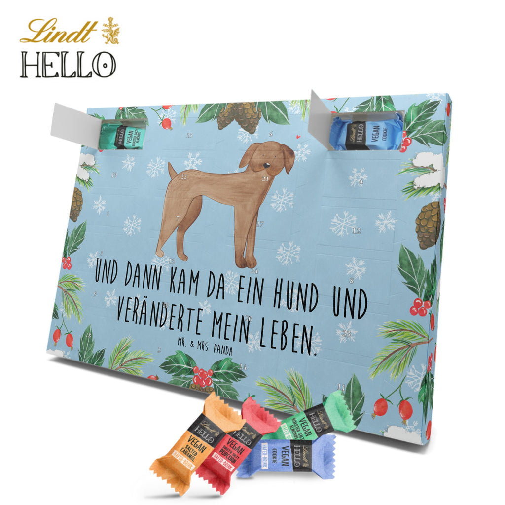 Veganer Adventskalender Hund Dogge Schokoladen Adventskalender, Hund, Hundemotiv, Haustier, Hunderasse, Tierliebhaber, Hundebesitzer, Sprüche, Hunde, Dogge, Deutsche Dogge, Great Dane