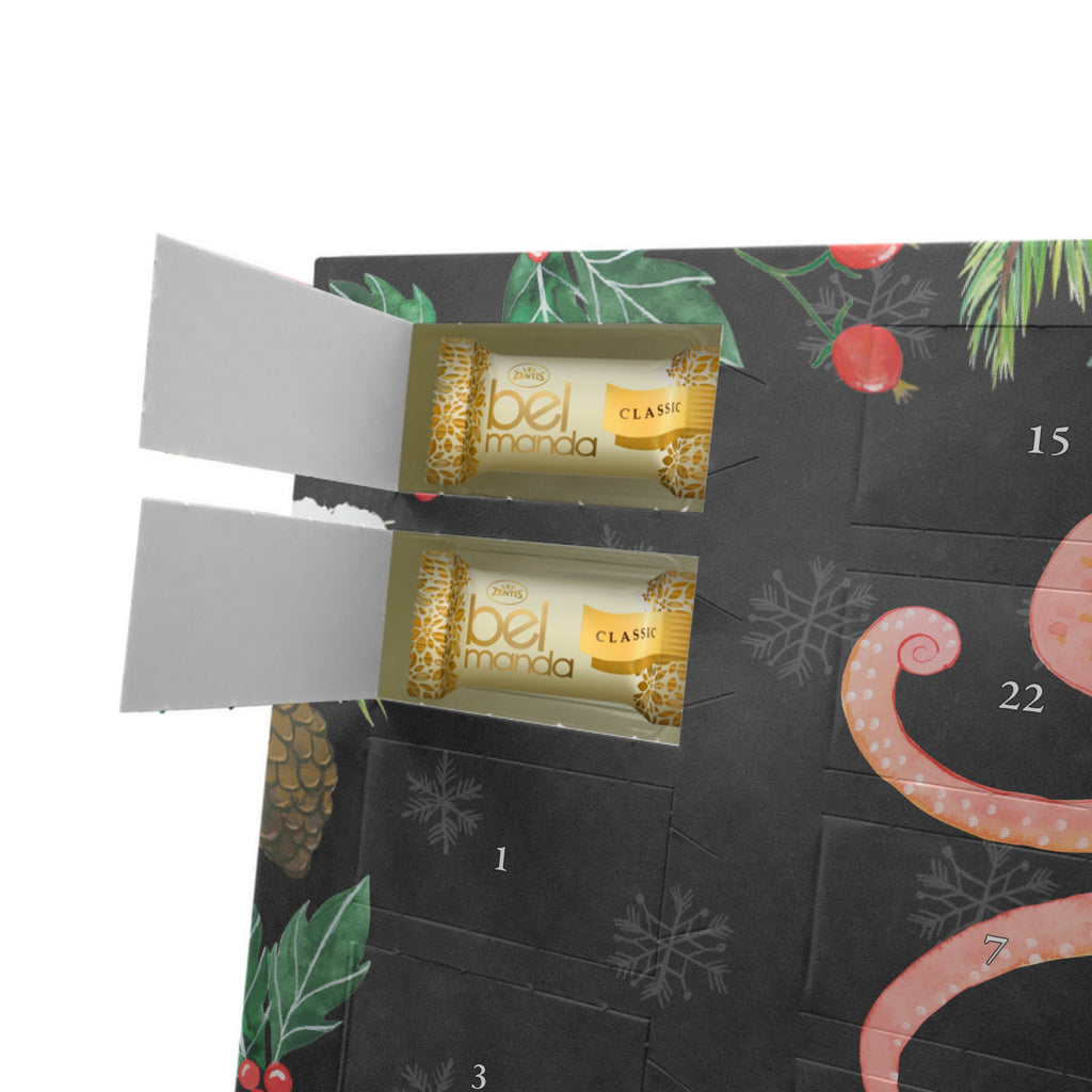 Marzipan Adventskalender Tintenfisch Marzipan Adventskalender, Tiermotive, Gute Laune, lustige Sprüche, Tiere, Meer, Meerestier, Krake, Tintenfisch, Arme, Wasser, Ozean