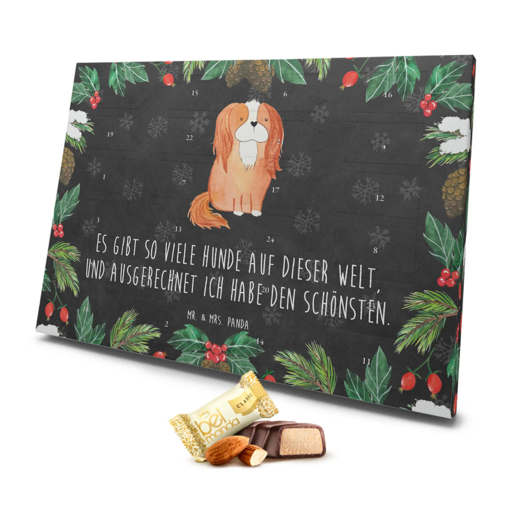 Marzipan Adventskalender Hund Cavalier King Charles Spaniel Marzipan Adventskalender, Hund, Hundemotiv, Haustier, Hunderasse, Tierliebhaber, Hundebesitzer, Sprüche, Cavalier King Charles Spaniel, Cockerspaniel, Spaniel, Spruch, schönster Hund