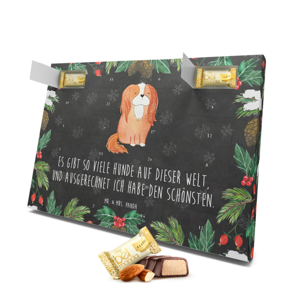 Marzipan Adventskalender Hund Cavalier King Charles Spaniel Marzipan Adventskalender, Hund, Hundemotiv, Haustier, Hunderasse, Tierliebhaber, Hundebesitzer, Sprüche, Cavalier King Charles Spaniel, Cockerspaniel, Spaniel, Spruch, schönster Hund