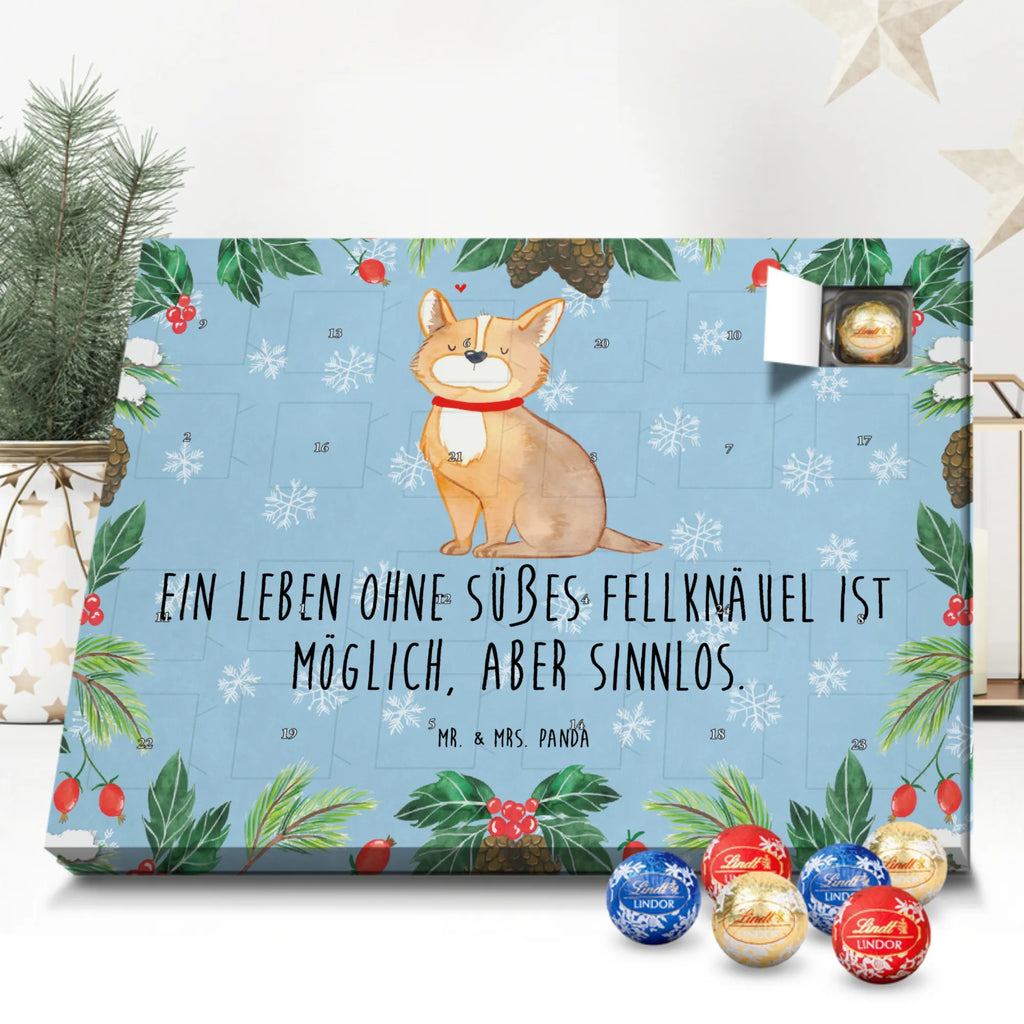 Kugel Markenschokolade Adventskalender Hund Glück Adventskalender, Weihnachtskalender, Kalender, Weihnachten, Schokoladen Adventskalender, Kugel Markenschokolade Adventskalender, Hund, Hundemotiv, Haustier, Hunderasse, Tierliebhaber, Hundebesitzer, Sprüche, Corgie, Hundeliebe, Spruch, Hundemama, Liebe