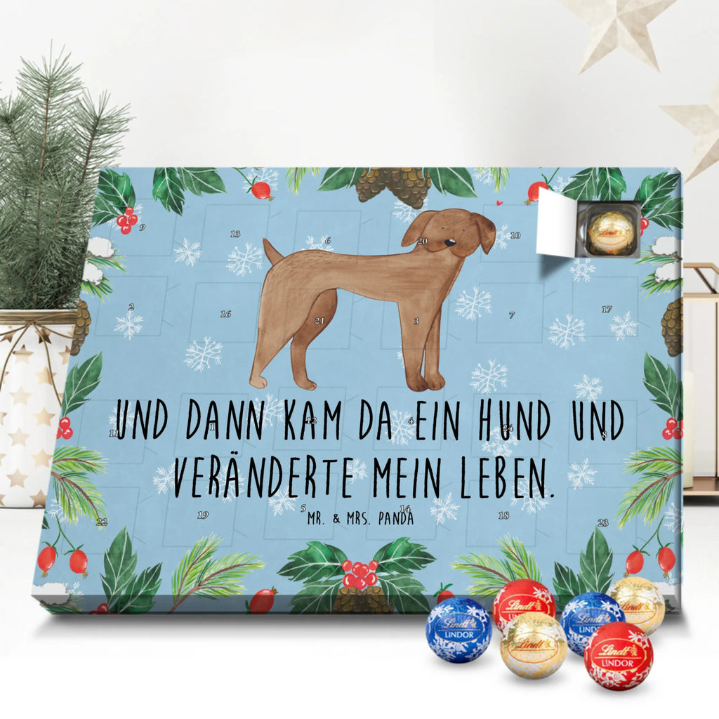 Kugel Markenschokolade Adventskalender Hund Dogge Adventskalender, Weihnachtskalender, Kalender, Weihnachten, Schokoladen Adventskalender, Kugel Markenschokolade Adventskalender, Hund, Hundemotiv, Haustier, Hunderasse, Tierliebhaber, Hundebesitzer, Sprüche, Hunde, Dogge, Deutsche Dogge, Great Dane