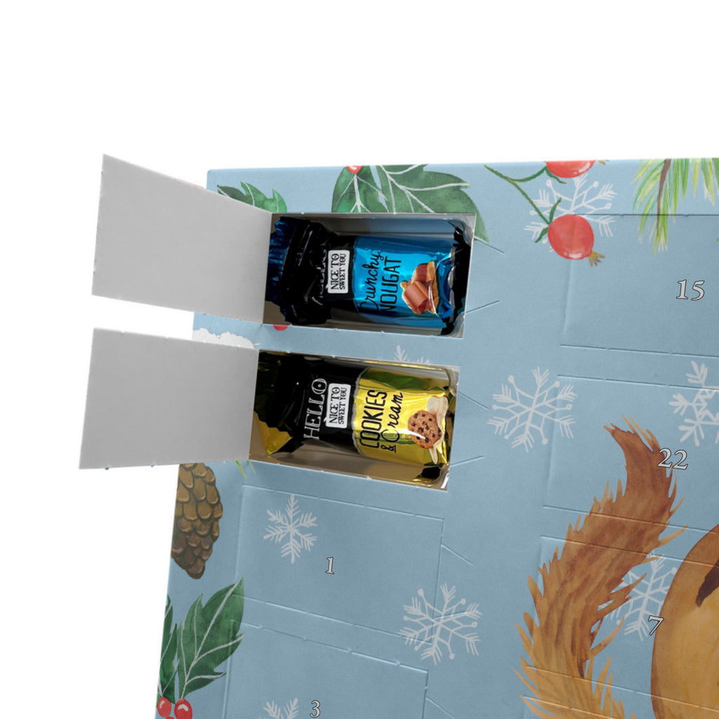 Personalisierter Markenschokolade Adventskalender Eichhörnchen Smoothie Personalisierter Adventskalender, Tiermotive, Gute Laune, lustige Sprüche, Tiere, Green Smoothies, Diät, Abnehmen, Streifenhörnchen, Eichhörnchen