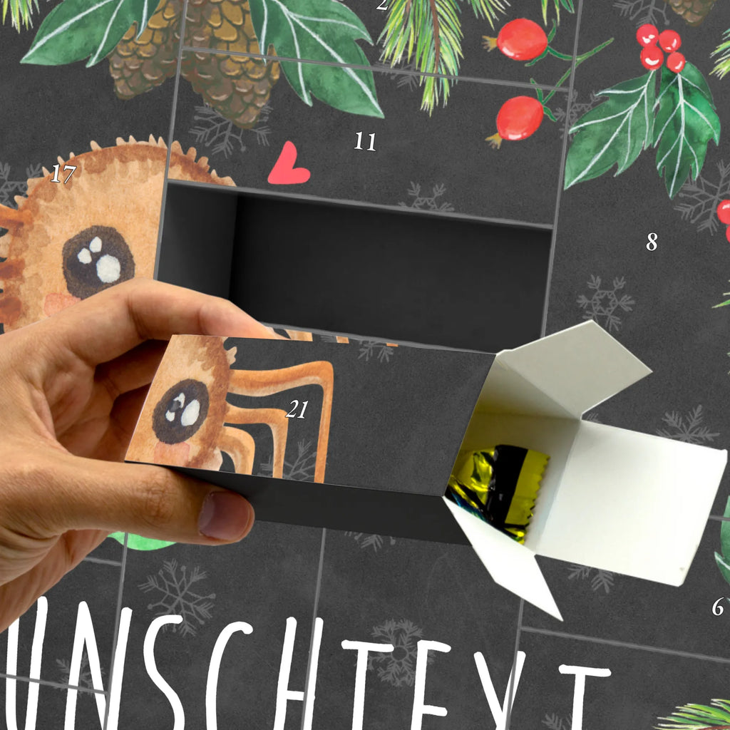 Personalisierter Befüllbarer Adventskalender Spinne Agathe Sandwich Befüllbarer Adventskalender, Adventskalender zum selbst befüllen, Spinne Agathe, Spinne, Agathe, Videos, Merchandise, Glück, Mut, Hungrig, Verfressen, Lebensfreude, Alles wird gut, Hunger