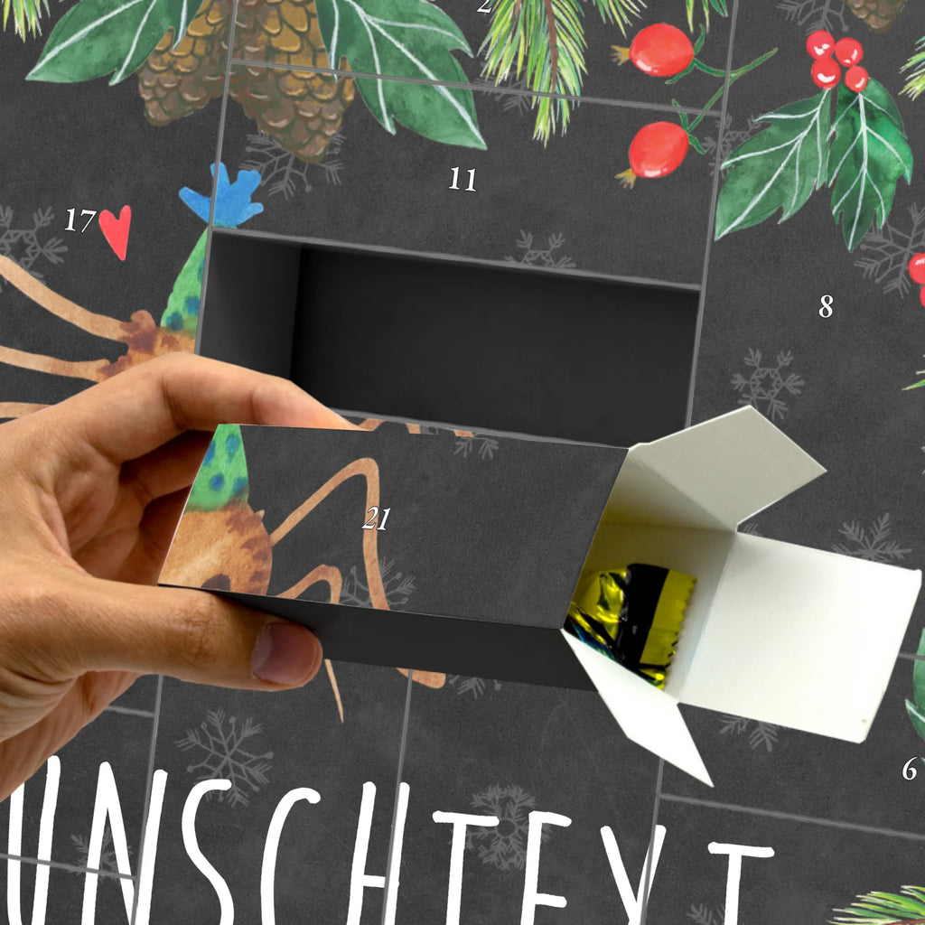 Personalisierter Befüllbarer Adventskalender Spinne Agathe Party Befüllbarer Adventskalender, Adventskalender zum selbst befüllen, Spinne Agathe, Spinne, Agathe, Videos, Merchandise, Selbstliebe, Wunder, Motivation, Glück