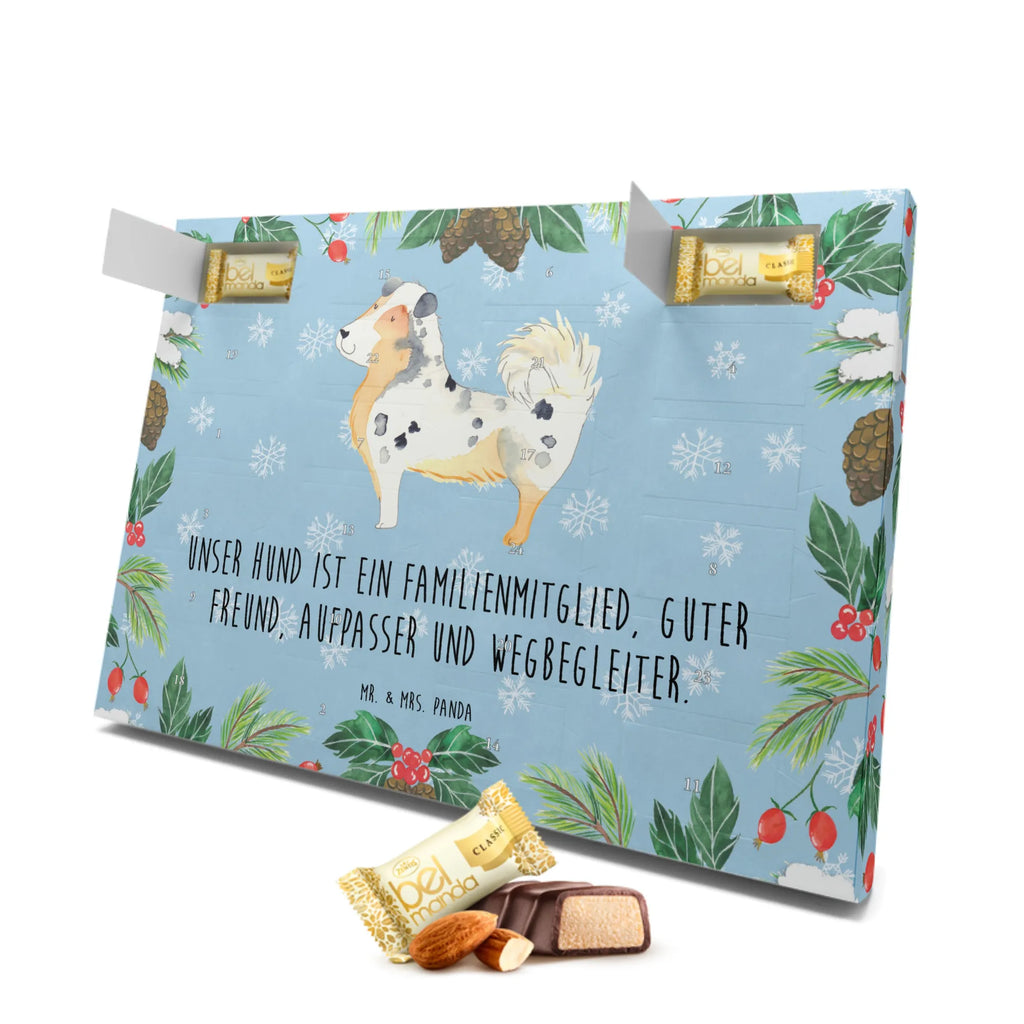 Marzipan Adventskalender Hund Australien Shepherd Marzipan Adventskalender, Hund, Hundemotiv, Haustier, Hunderasse, Tierliebhaber, Hundebesitzer, Sprüche, Australien Shepherd, Shepherd, Hundeliebe, Familienhund, Spruch