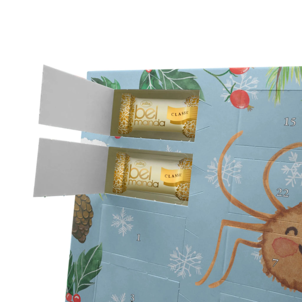 Marzipan Adventskalender Spinne Agathe Motivation Marzipan Adventskalender, Spinne Agathe, Spinne, Agathe, Videos, Merchandise, Motivation, Glück, Liebe, Vertrauen, Dankeschön