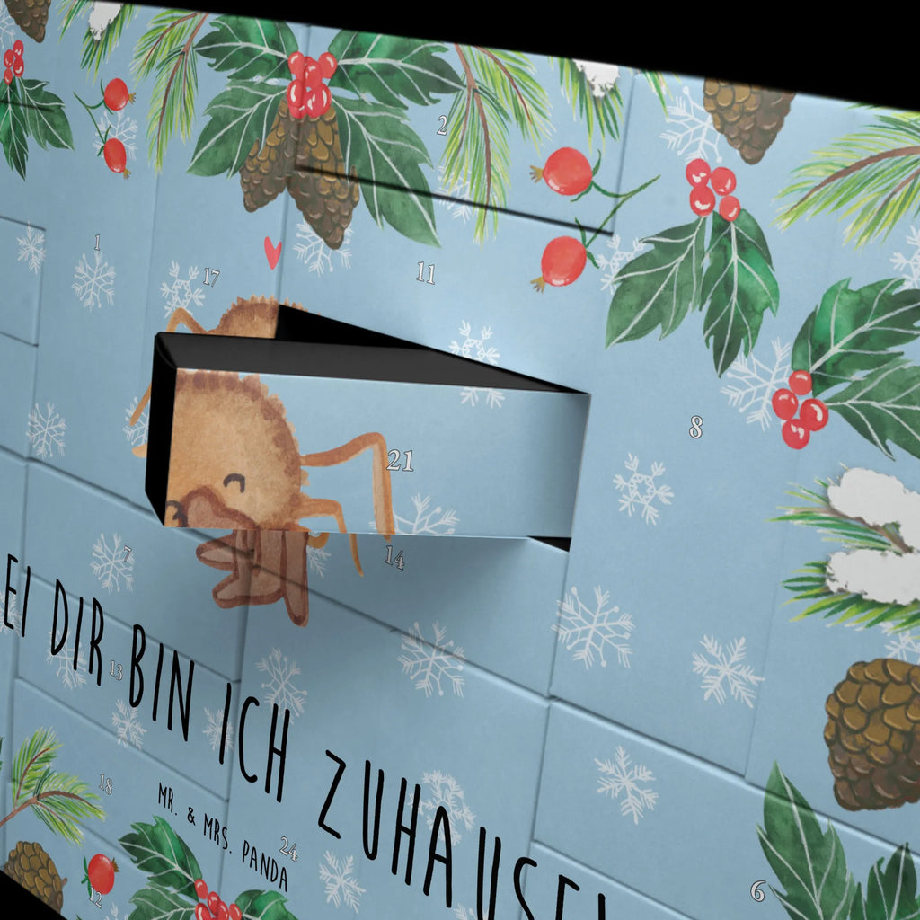 Befüllbarer Adventskalender Spinne Agathe Teddy Befüllbarer Adventskalender, Adventskalender zum selbst befüllen, Spinne Agathe, Spinne, Agathe, Videos, Merchandise, Freundschaft, Liebesgeschenk, Verliebt, Liebesbeweis, Teddy, Treue, Miteinander, Dankeschön