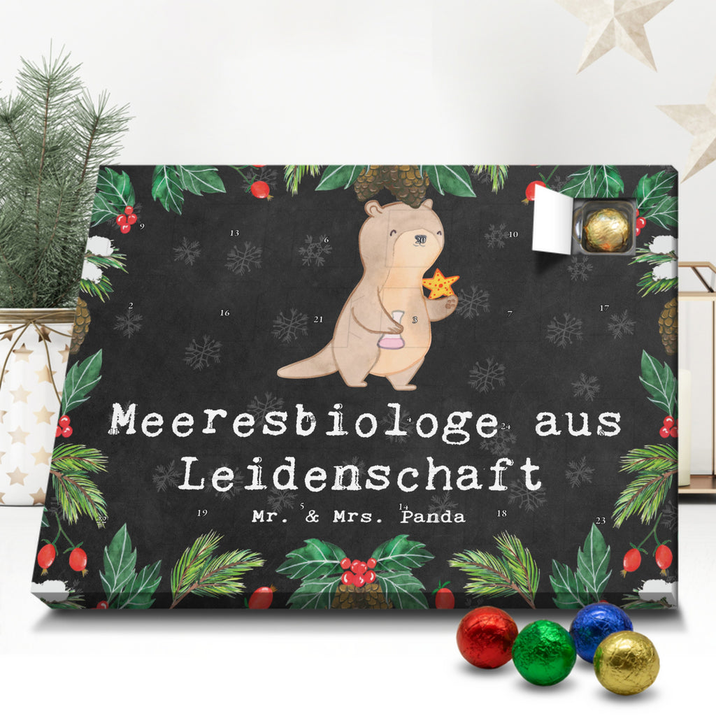 Schoko Adventskalender Meeresbiologe Leidenschaft Adventskalender, Schokoladen Adventskalender, Schoko Adventskalender, Beruf, Ausbildung, Jubiläum, Abschied, Rente, Kollege, Kollegin, Geschenk, Schenken, Arbeitskollege, Mitarbeiter, Firma, Danke, Dankeschön, Meeresbiologe, Meereskundler, Naturwissenschaftler, Meeresforscher, maritime Forschung, Studium