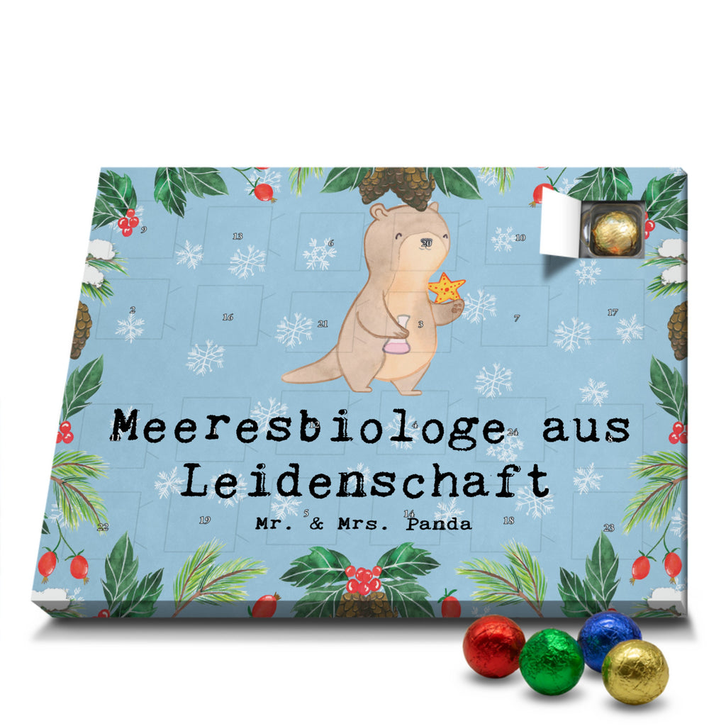 Schoko Adventskalender Meeresbiologe Leidenschaft Adventskalender, Schokoladen Adventskalender, Schoko Adventskalender, Beruf, Ausbildung, Jubiläum, Abschied, Rente, Kollege, Kollegin, Geschenk, Schenken, Arbeitskollege, Mitarbeiter, Firma, Danke, Dankeschön, Meeresbiologe, Meereskundler, Naturwissenschaftler, Meeresforscher, maritime Forschung, Studium