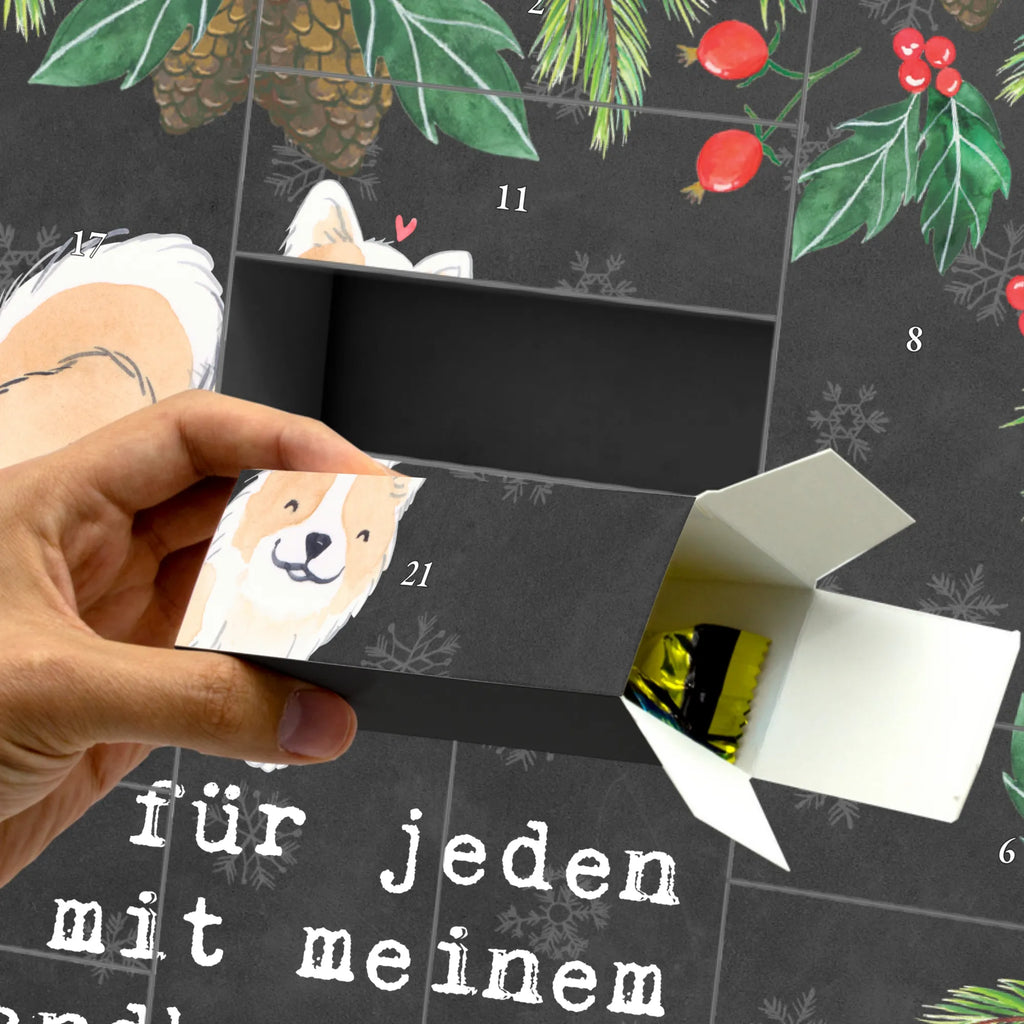 Befüllbarer Adventskalender Islandhund Moment Befüllbarer Adventskalender, Adventskalender zum selbst befüllen, Hund, Hunderasse, Rassehund, Hundebesitzer, Geschenk, Tierfreund, Schenken, Welpe, Islandhund, isländischer Schäferhund