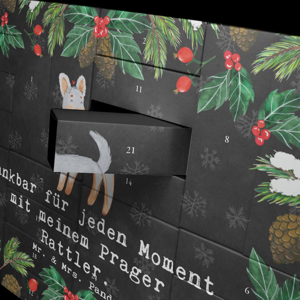 Befüllbarer Adventskalender Prager Rattler Moment Befüllbarer Adventskalender, Adventskalender zum selbst befüllen, Hund, Hunderasse, Rassehund, Hundebesitzer, Geschenk, Tierfreund, Schenken, Welpe, Pincher, Prager Rattler